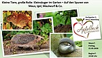 Logo Kleine Tiere, große Rolle: Kleinsäuger im Garten – Auf den Spuren von Maus, Igel, Maulwurf & Co.