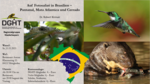 Logo Auf Fotosafari in Brasilien – Pantanal, Mata Atlantica und Cerrado