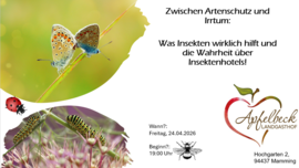 Banner Zwischen Artenschutz und Irrtum: Was Insekten wirklich hilft und die Wahrheit über Insektenhotels!