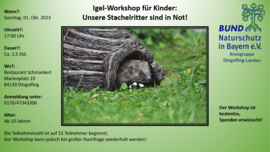 Banner Igel-Workshop für Kinder: Unsere Stachelritter sind in Not!