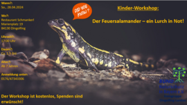 Banner Kinder-Workshop: Der Feuersalamander - ein Lurch in Not!