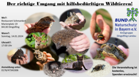 Banner Fortbildung: Der richtige Umgang mit hilfsbedürftigen Wildtieren