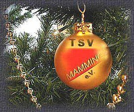 Banner Christbaumversteigerung des TSV