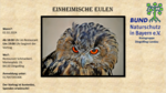 Logo Einheimische Eulen