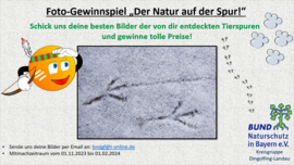 Banner Fotowettbewerb für Kinder