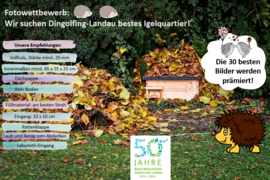 Banner Wir suchen Dingolfing-Landaus bestes Igelquartier