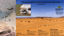 Banner Vortrag: Herpetologische Eindrücke aus Marokko