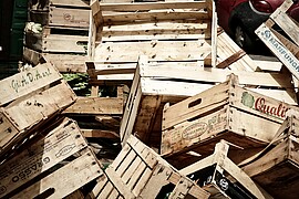 Banner Lebensmittel - zu schade für den Müll