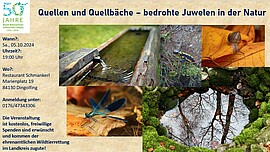 Banner Quellen und Quellbäche - Bedrohte Juwelen in der Natur