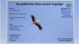 Banner Die gefährliche Reise unserer Zugvögel