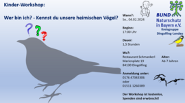 Banner Kinder-Workshop: Kennst du unsere heimischen Vögel?