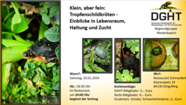 Banner Klein, aber fein: Tropfenschildkröten - Einblicke in Lebensraum, Haltung und Zucht