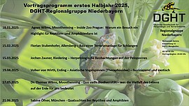 Banner Programm erstes Halbjahr 2025